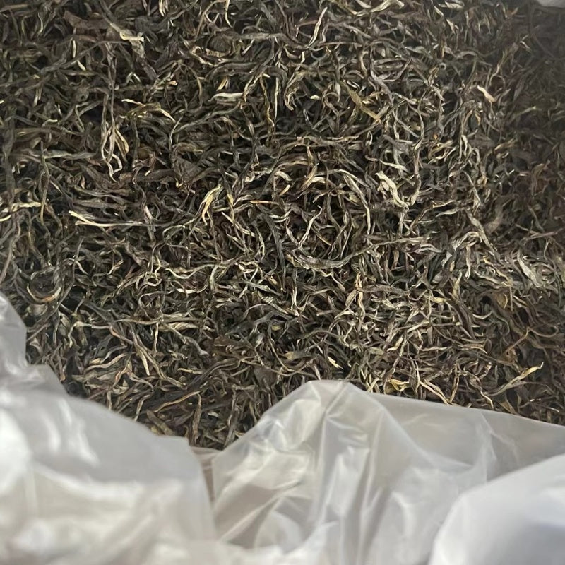 Banpan Ancient Tree Raw Pu'Erh Tea 2023年班盆古树普洱生茶
