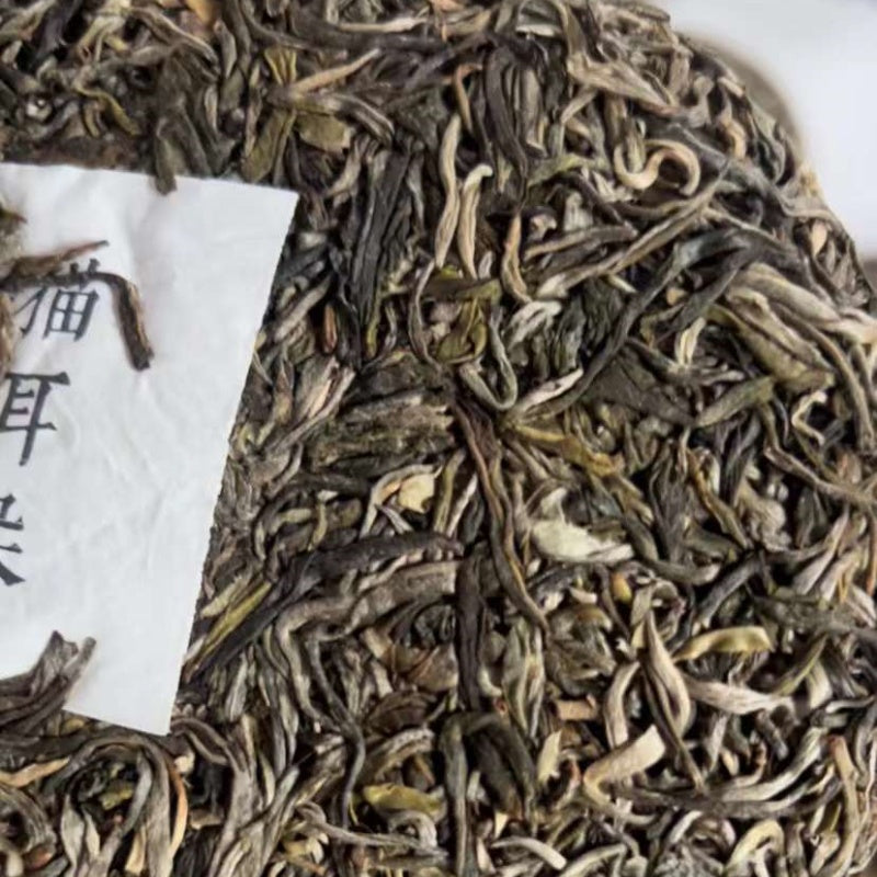 Yibang Tea Mountain 2023 Spring Cat-Ear Raw Pu-Erh Tea 2023倚邦猫耳朵普洱生茶